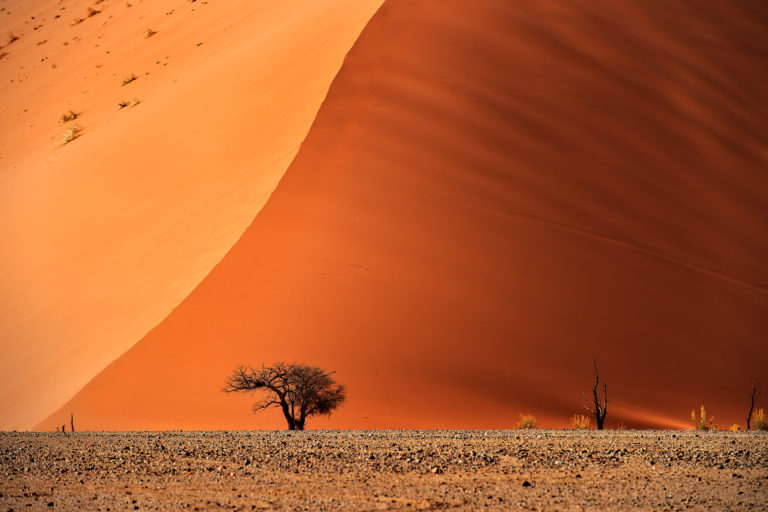 grafische Komposition der Düne 45 | Fotograf Ulm, Reisereportage Namibia