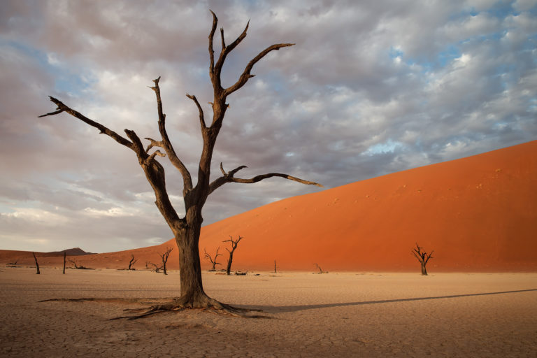 abgestorbene Kameldornbäume im Dead Vlei, Namib Wüste | Fotograf Ulm, Reisereportage Namibia