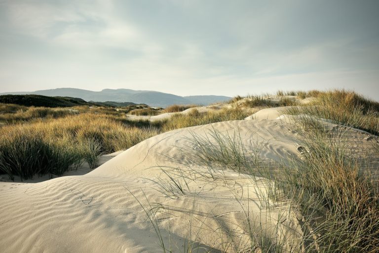 Dünen auf Bruny Island
